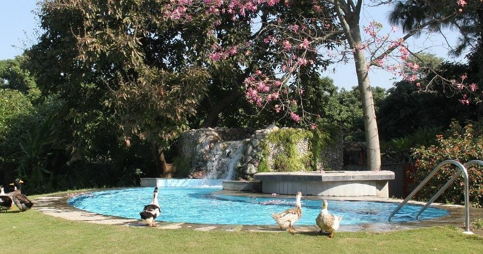TREE OF LIFE  HOMESTEAD CORBETT COUNTRY